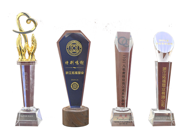 榮譽獎杯